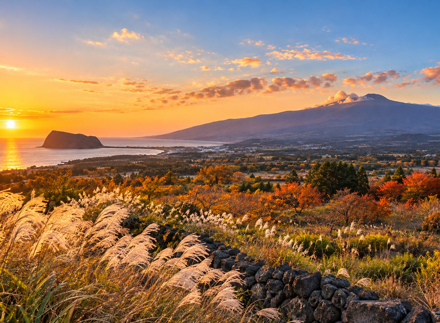 Jeju All-day Journey 
